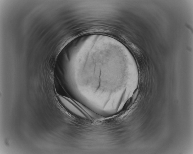 X0000096461369200802211115