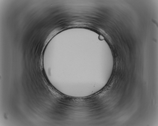 X0000096461370200802211115