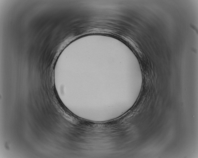 X0000096461371200802211115