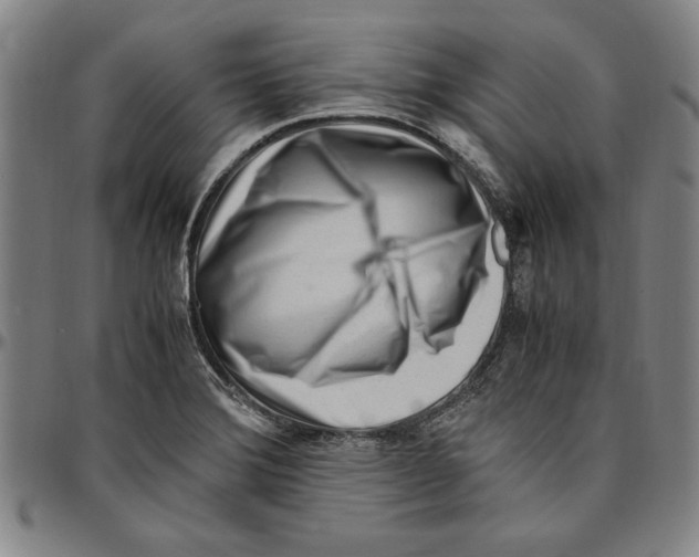 X0000096461372200802211115