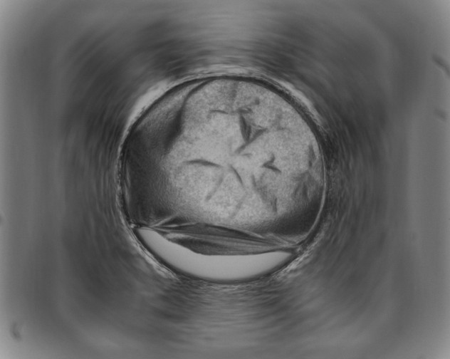 X0000096461373200802211115