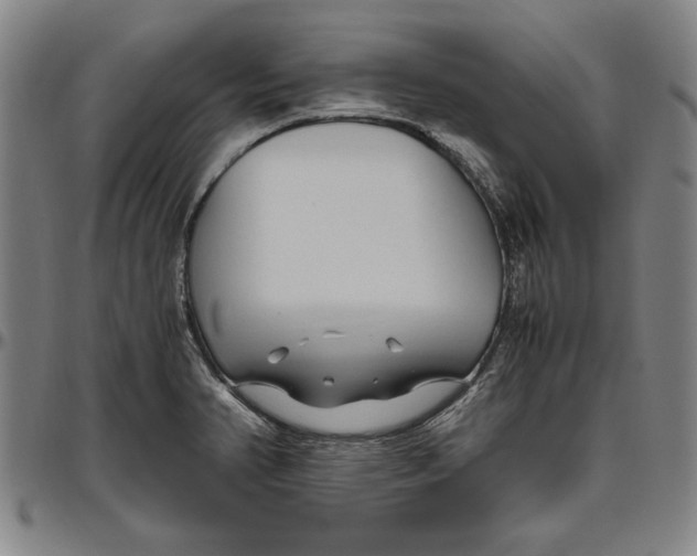 X0000096461374200802211115