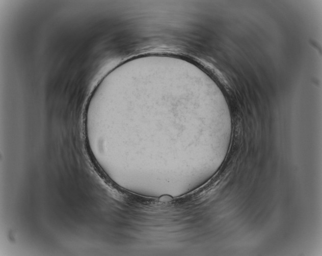 X0000096461375200802211115