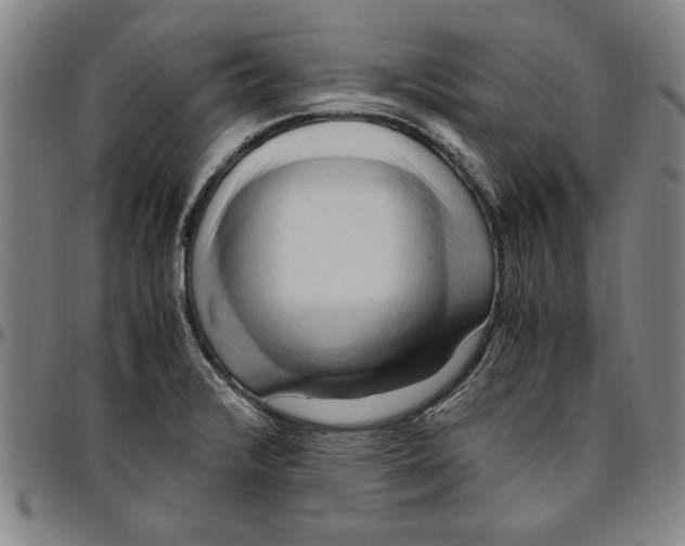 X0000096461376200802211115