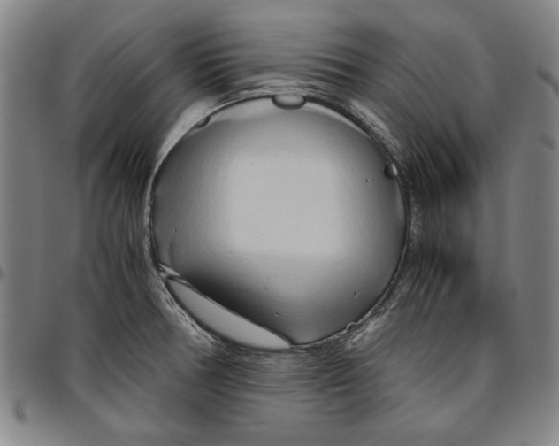 X0000096461378200802211115