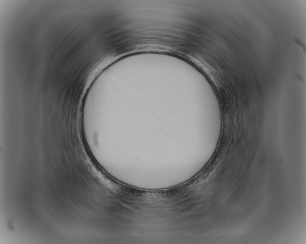X0000096461379200802211115