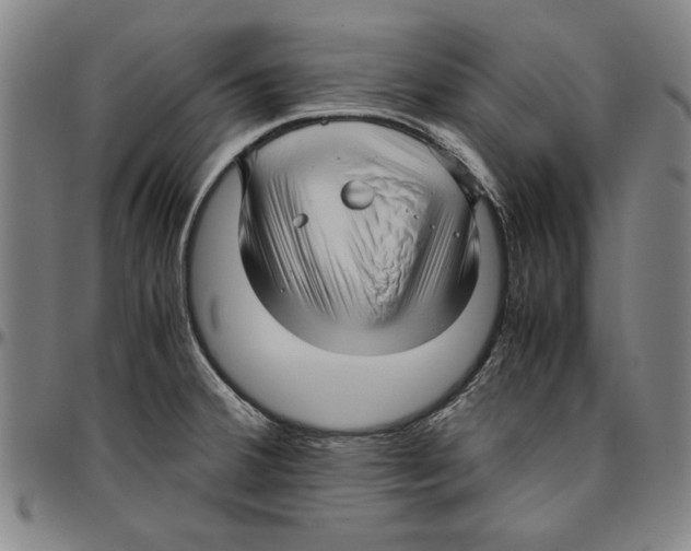 X0000096461380200802211115