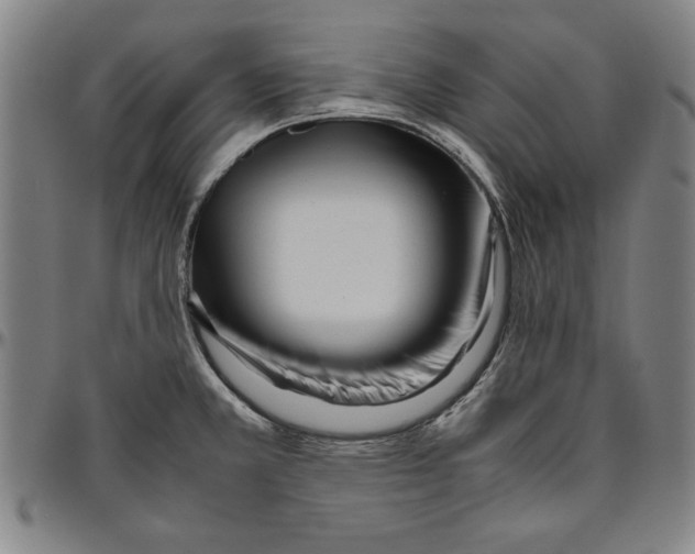 X0000096461381200802211115