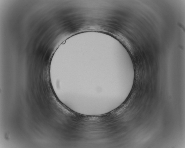 X0000096461382200802211115