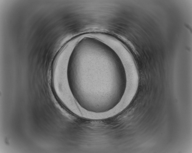 X0000096461383200802211115