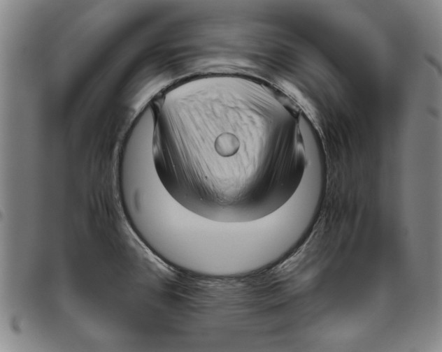 X0000096461384200802211115