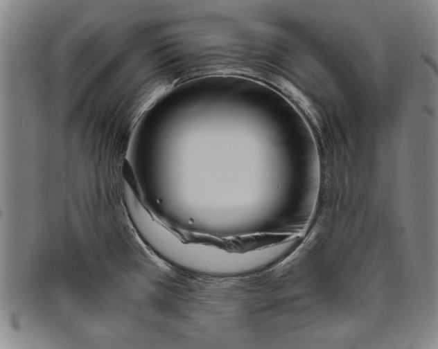 X0000096461385200802211115