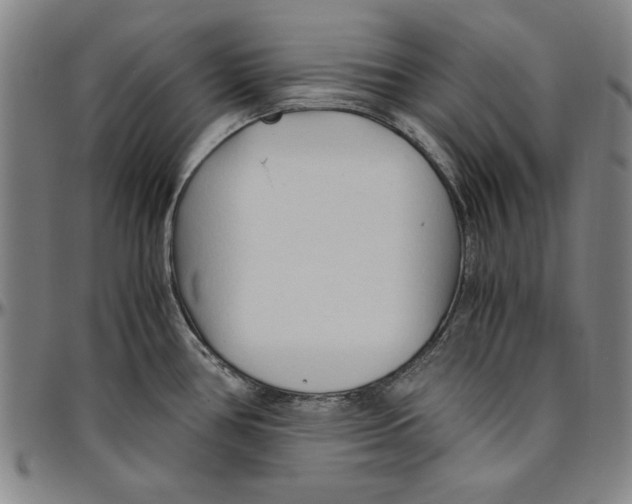 X0000096461386200802211115