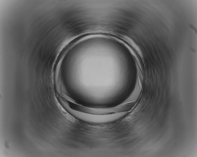X0000096461388200802211115