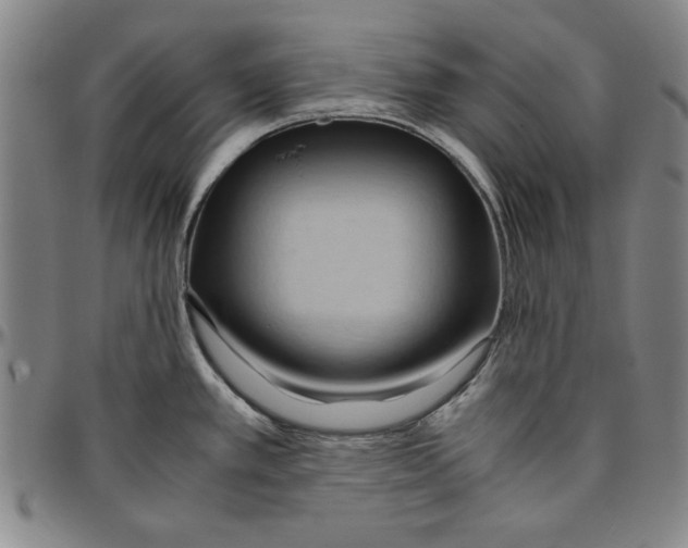 X0000096461389200802211115