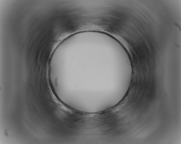 X0000096461390200802211115