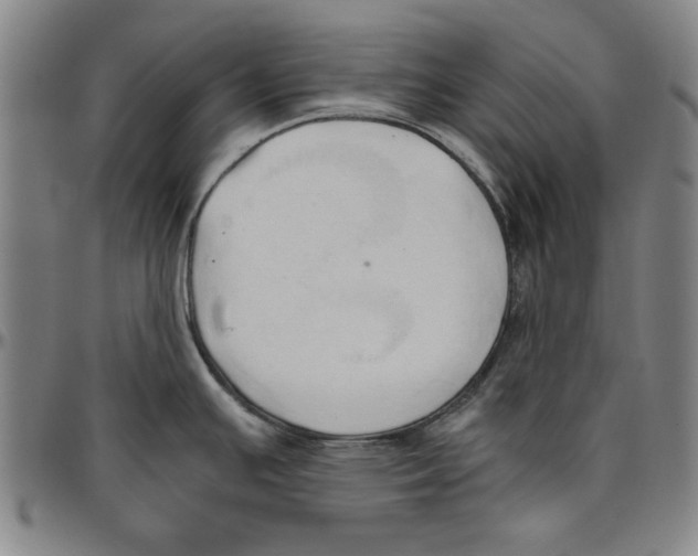 X0000096461391200802211115