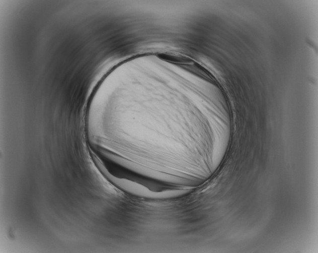 X0000096461392200802211115