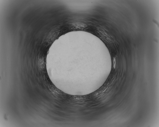 X0000096461395200802211114