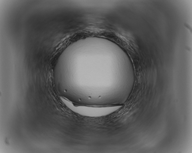 X0000096461397200802211114