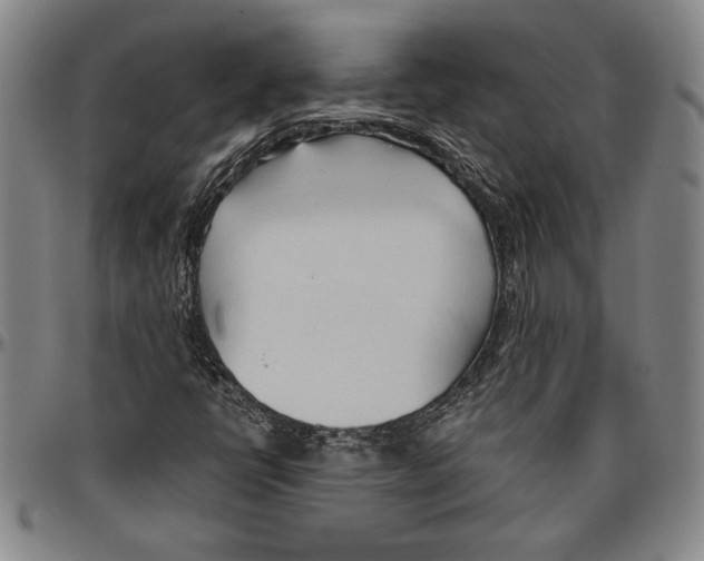 X0000096461398200802211114
