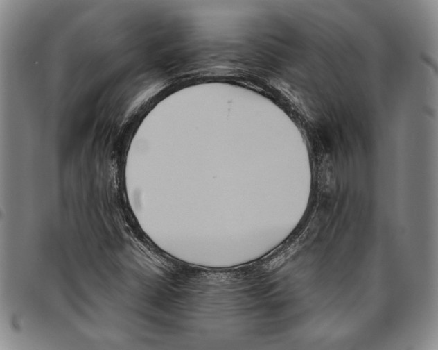 X0000096461402200802211114