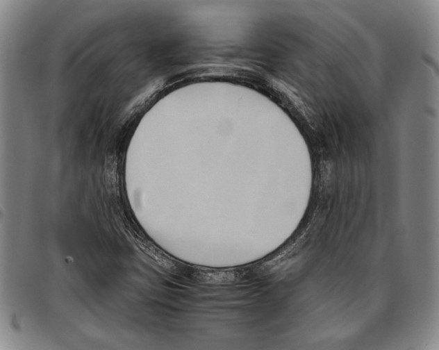 X0000096461403200802211114
