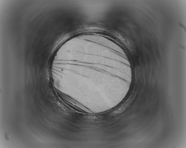 X0000096461405200802211114