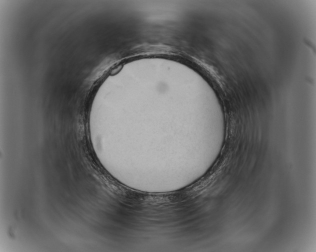 X0000096461407200802211114