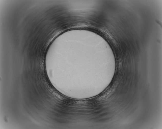 X0000096461409200802211114