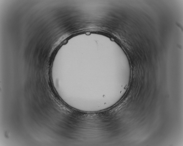 X0000096461410200802211114