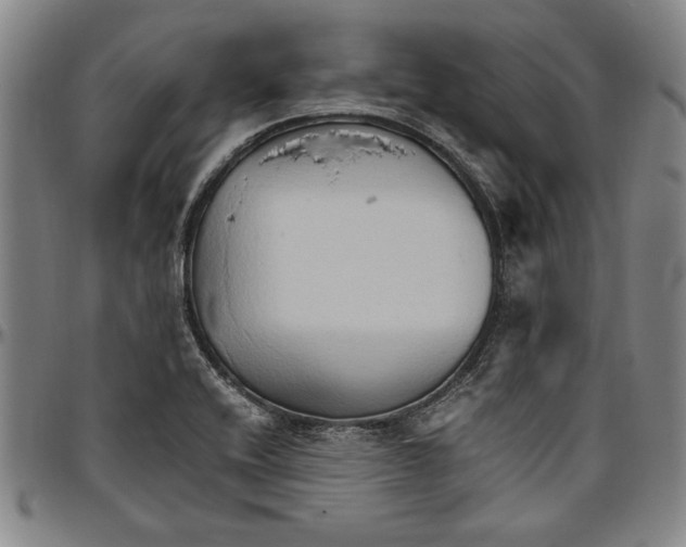 X0000096461416200802211114