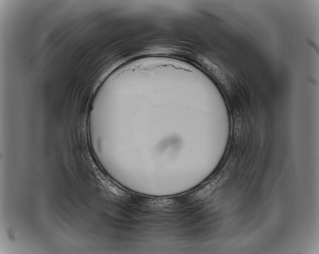 X0000096461417200802211115