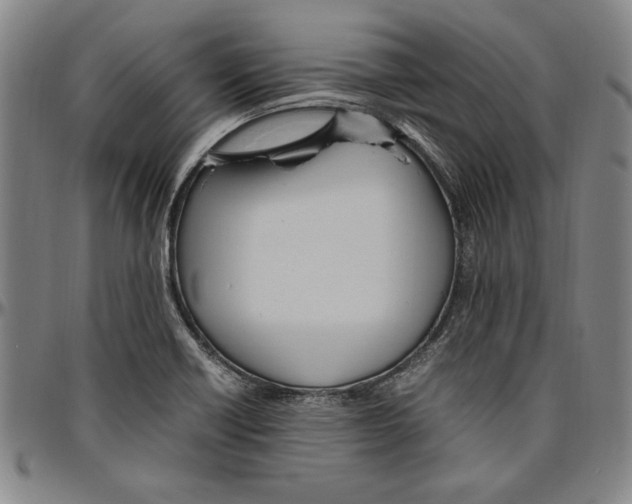 X0000096461418200802211115