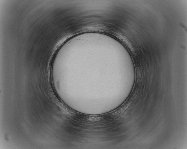 X0000096461419200802211115