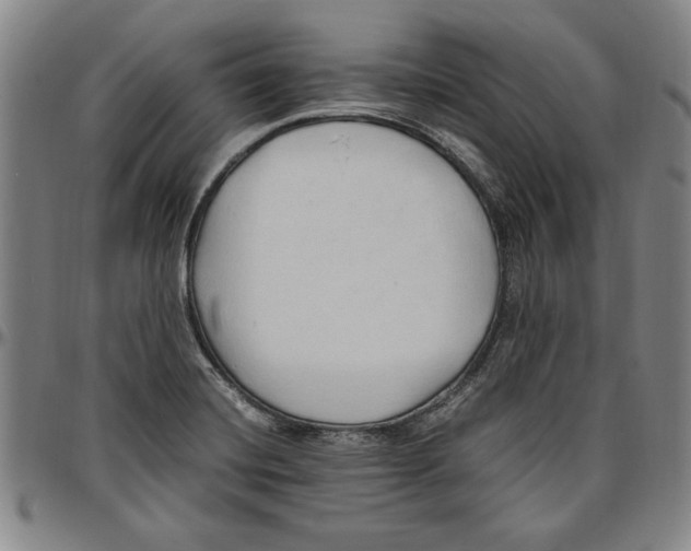 X0000096461420200802211115