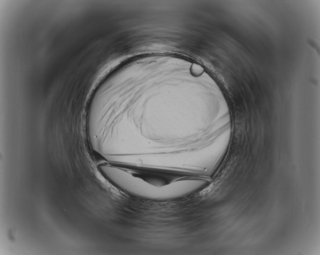 X0000096461421200802211115