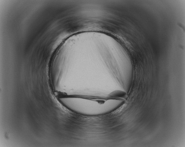 X0000096461422200802211115