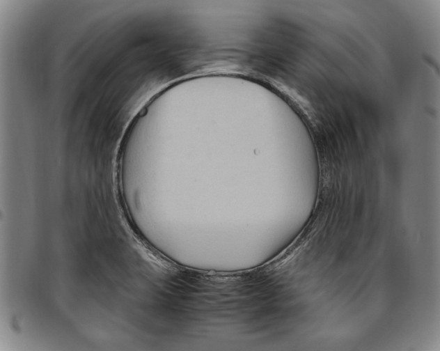 X0000096461423200802211115