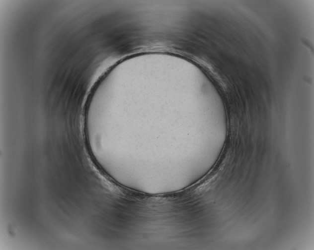 X0000096461424200802211115