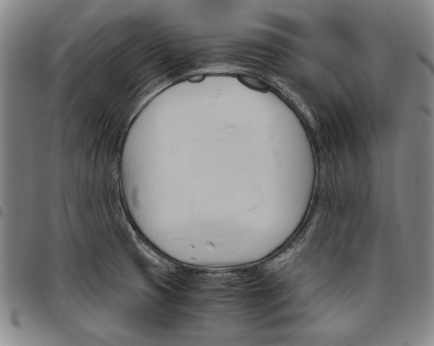 X0000096461425200802211115