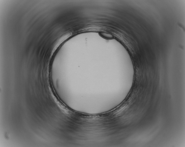 X0000096461426200802211115