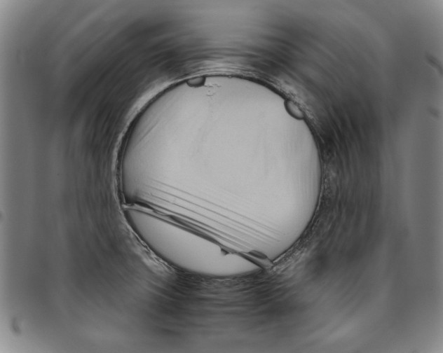 X0000096461427200802211115