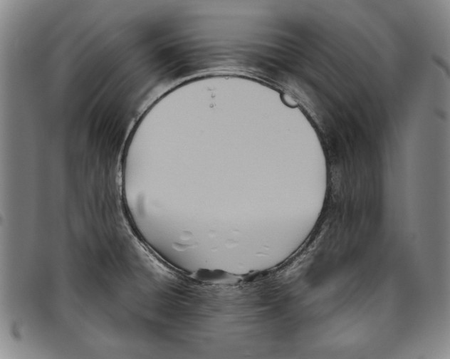 X0000096461428200802211115