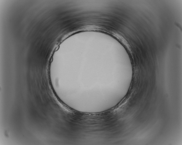 X0000096461429200802211115