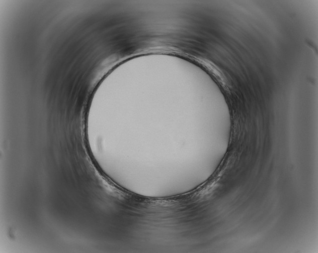 X0000096461430200802211115