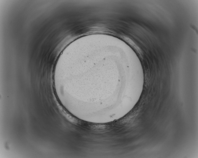 X0000096461431200802211115