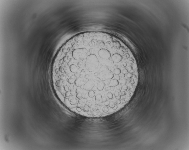 X0000096461432200802211115