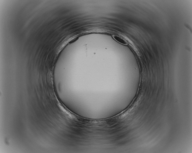 X0000096461433200802211115