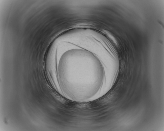 X0000096461435200802211115